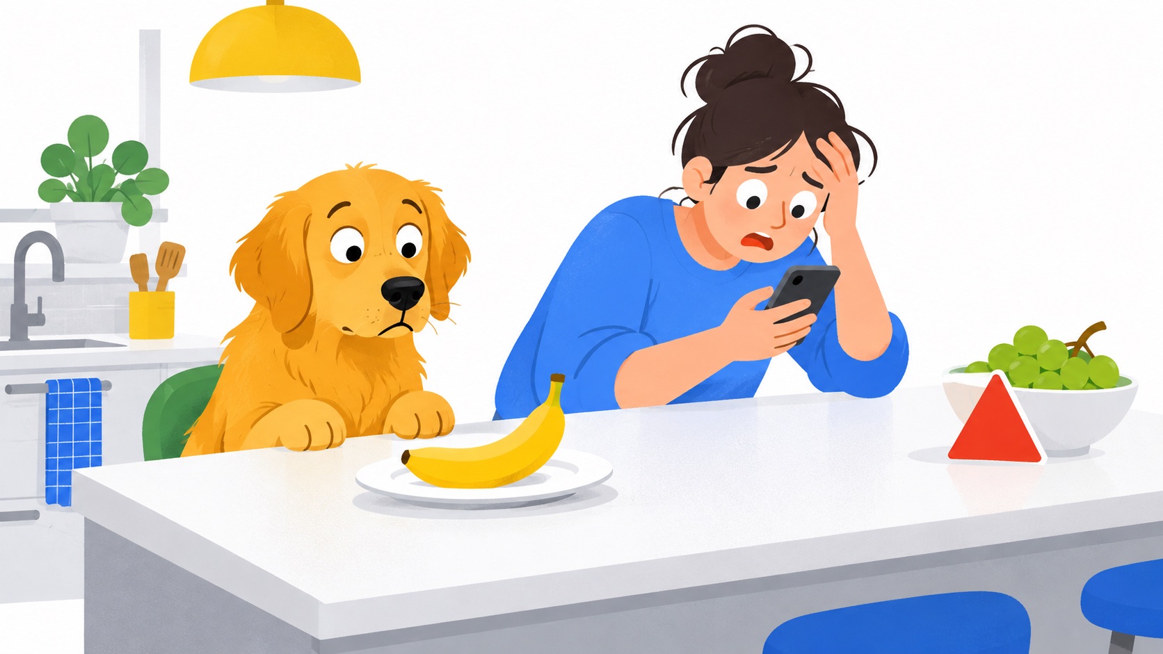 A worried golden retriever stares at a banana on a plate while its owner panics over a phone, with a bowl of grapes behind a red warning triangle