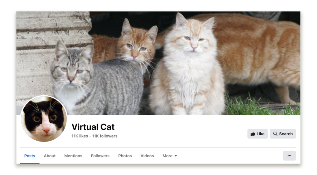 Virtual Cat Facebook Page